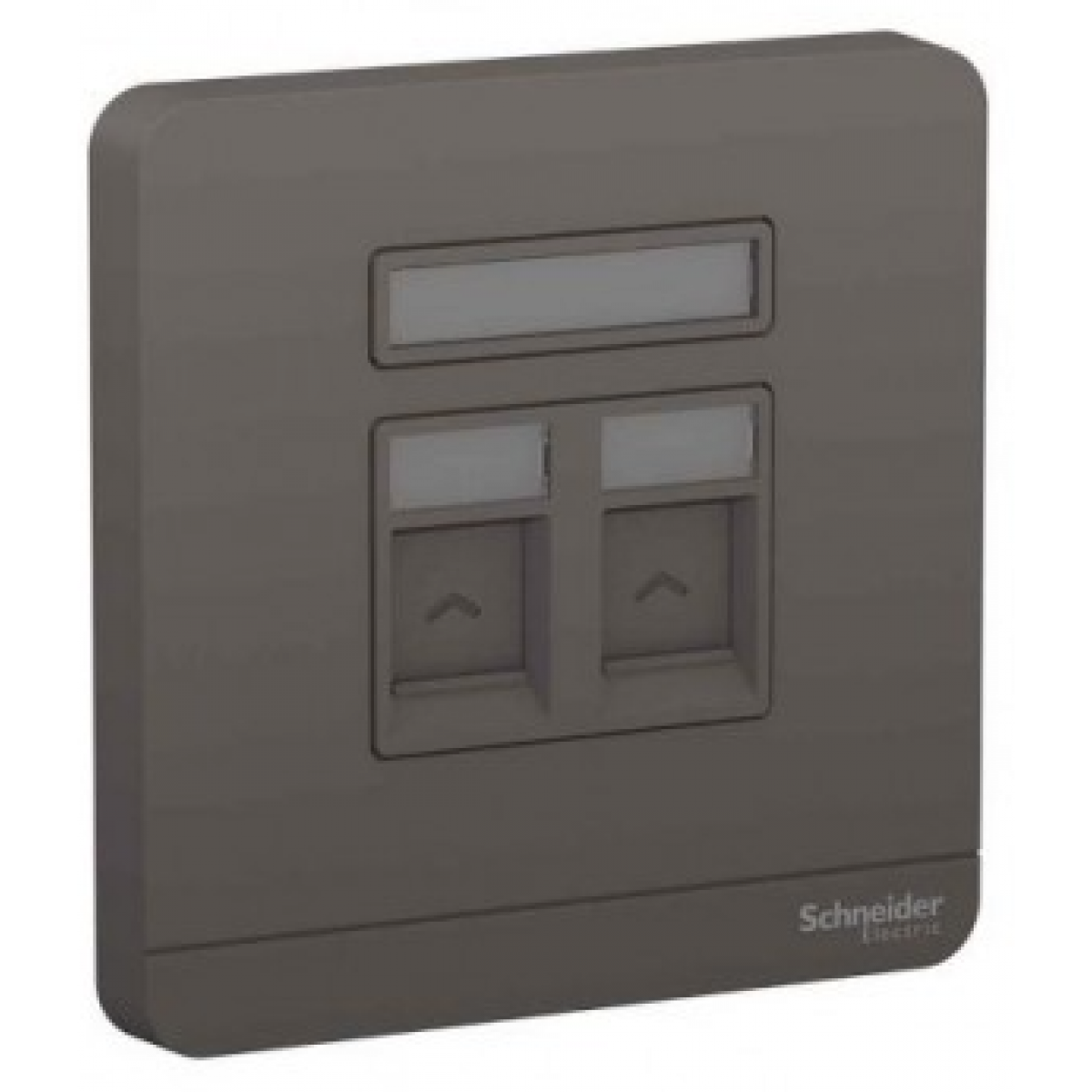 Schneider Electric AvatarOn 兩位RJ45八線5e類數據插座 (深灰色)